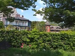 DSC_3422.JPG