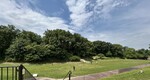 今城塚古墳公園 墳丘と芝生広場〇.jpeg